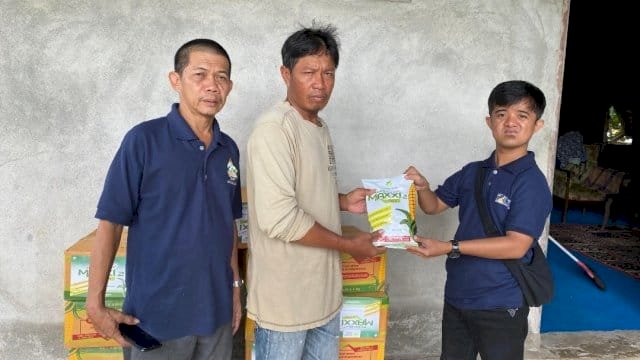 Perwakilan Andi Azizah Irma Wahyudiyati Irwan, salurkan bantuan bibit jagung kepada kelompok tani di Pinrang.