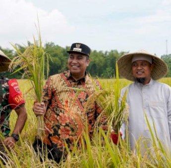 Sukses Mandiri Benih Padi, Pemprov Sulsel Rencana Kembangkan Mandiri Bibit Kakao dan Kentang