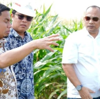 Wali Kota Tasming Hamid Dorong KIPAS Jadi Motor Penggerak Ekonomi Baru Parepare