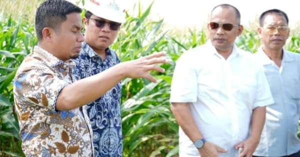 Wali Kota Tasming Hamid Dorong KIPAS Jadi Motor Penggerak Ekonomi Baru Parepare