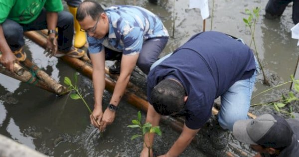 Wali Kota Munafri Tekankan Manfaat Mangrove untuk Lingkungan dan Ekonomi