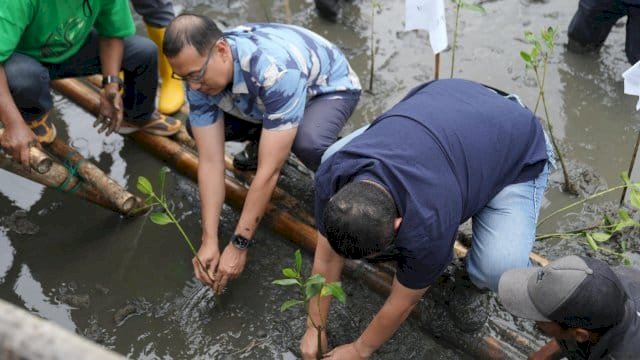 Wali Kota Makassar, Munafri Arifuddin, menghadiri kegiatan penanaman mangrove di kawasan wisata mangrove Dermaga A, Kelurahan Untia.