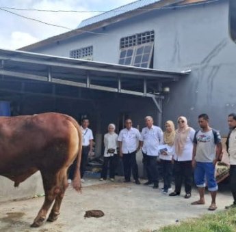 Presiden Prabowo Serahkan Sapi Semental 1 Ton untuk Warga Sidrap, Harganya Capai Rp117 Juta
