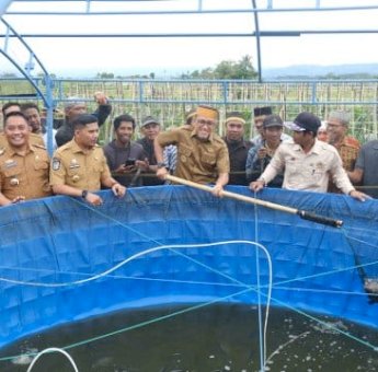Bupati-Wabup Jeneponto Kompak Panen Raya Padi dan Ikan Air Tawar di Desa Bontotiro Rumbia