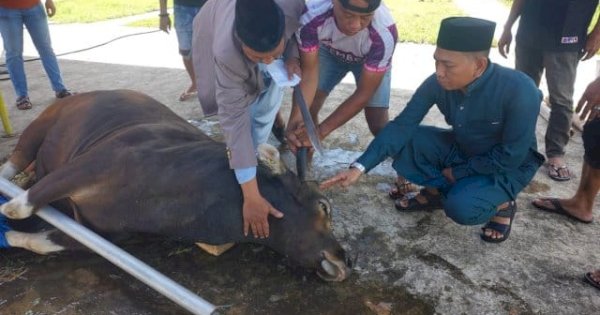 Ketua KONI Makassar Berbagi dan Bangun Kebersamaan di Idul Adha 2025/1446 H