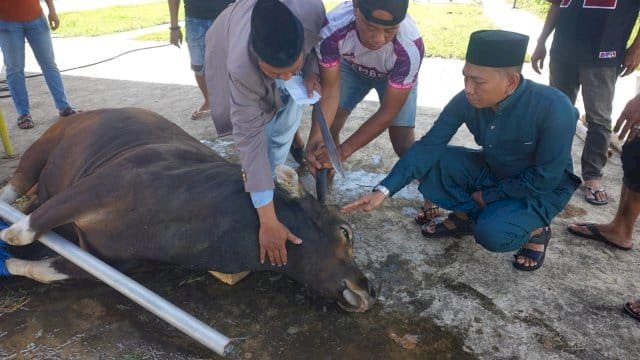 Ketua KONI Makassar Berbagi dan Bangun Kebersamaan di Idul Adha 2025/1446 H