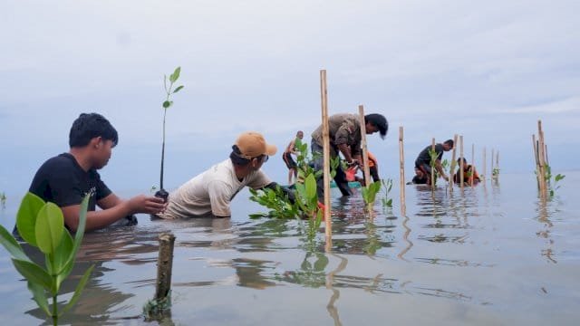 Gerakan Tanam 2.000 Mangrove yang didukung oleh Lembaga Amil Zakat (LAZ) Hadji Kalla bersama Estuaria Indonesia.