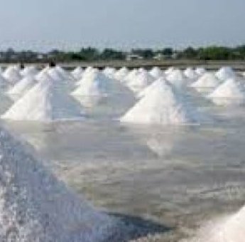 Pemkab Pangkep Jadikan Garam Komoditi Unggulan Daerah