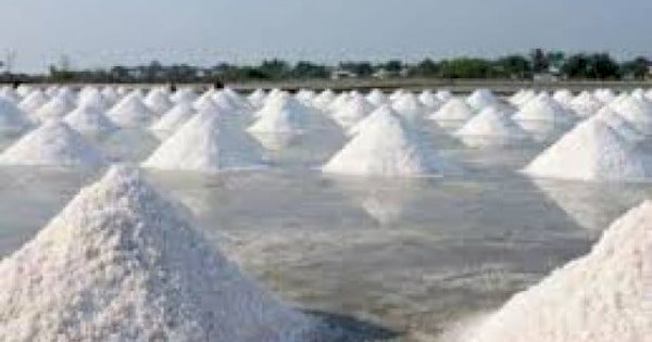 Pemkab Pangkep Jadikan Garam Komoditi Unggulan Daerah