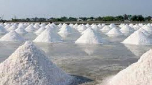 Pemkab Pangkep Jadikan Garam Komoditi Unggulan Daerah