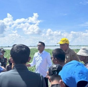Sekitar 214 Ha Sawah Petani di Sidrap Terendam Banjir, Syaharuddin Alrif Turun Langsung Cek Lokasi