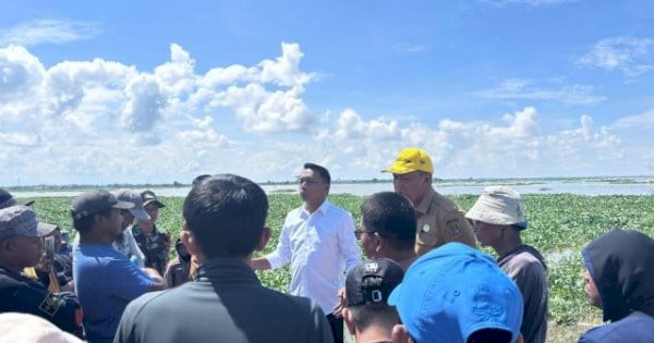 Sekitar 214 Ha Sawah Petani di Sidrap Terendam Banjir, Syaharuddin Alrif Turun Langsung Cek Lokasi