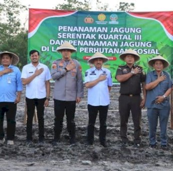 Bupati Pinrang dan Forkopimda Tanam Jagung Serentak Dukung Ketahanan Pangan Nasional