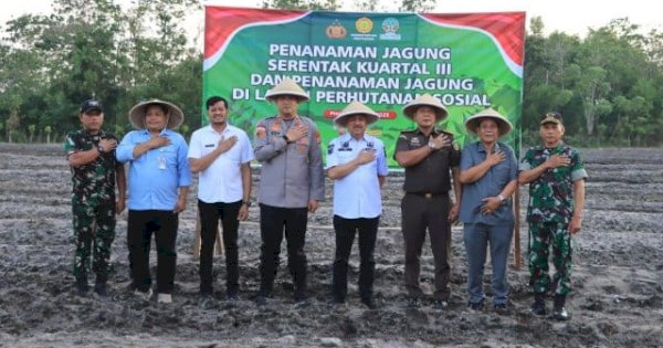 Bupati Pinrang dan Forkopimda Tanam Jagung Serentak Dukung Ketahanan Pangan Nasional