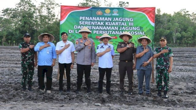 Bupati Pinrang dan Forkopimda Tanam Jagung Serentak Dukung Ketahanan Pangan Nasional