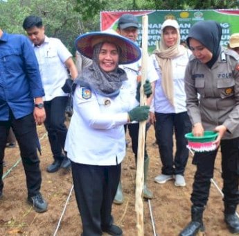 Bangga! Kabupaten Sinjai Terpilih Jadi Lokasi Strategis Program Jagung Nasional