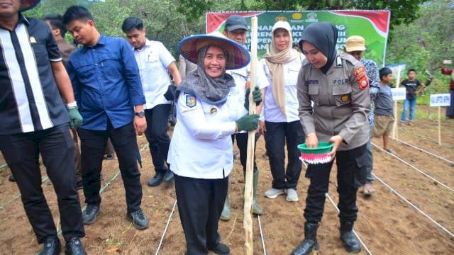 Bangga! Kabupaten Sinjai Terpilih Jadi Lokasi Strategis Program Jagung Nasional