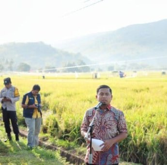 Tasming Hamid Wujudkan Janji Politik, Petani Parepare Nikmati Asuransi dan Panen Benih Perdana