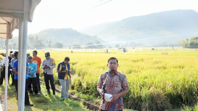 Tasming Hamid Wujudkan Janji Politik, Petani Parepare Nikmati Asuransi dan Panen Benih Perdana