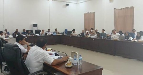 Banggar DPRD Palopo Evaluasi Realisasi PAD RSUD Palemmai Tandi 2024