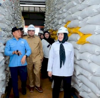 Wagub Sulsel Dukung Teknologi Beras untuk Jaga Stabilitas Pangan