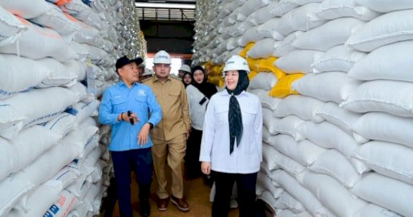 Wagub Sulsel Dukung Teknologi Beras untuk Jaga Stabilitas Pangan