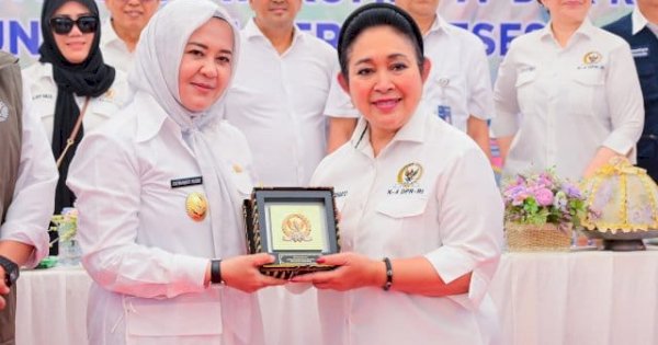 Fatmawati Rusdi: Sulsel Catat Surplus Beras 1,21 Juta Ton Tahun Ini