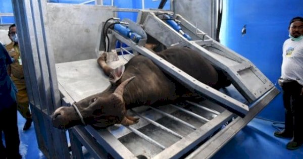 DPRD Makassar: Status Rumah Potong Hewan Perlu Dikaji