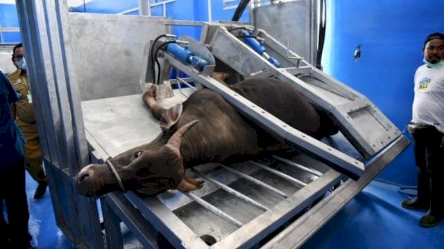 DPRD Makassar: Status Rumah Potong Hewan Perlu Dikaji