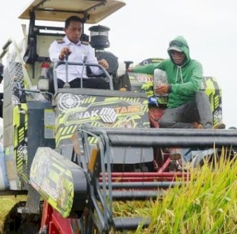 Panen Raya di Teteaji, Bupati Sidrap Turun Langsung Operasikan Mesin Panen Padi