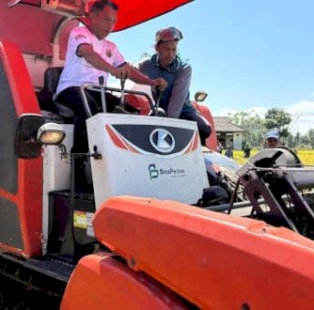 Panen Perdana di Bila Riawa, Syaharuddin: Bersyukur dan Terus Jaga Kebersamaan