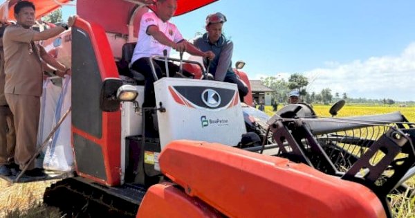 Panen Perdana di Bila Riawa, Syaharuddin: Bersyukur dan Terus Jaga Kebersamaan