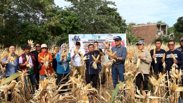 Panen Perdana Jagung Jago Unhas, Parepare Siap Kembangkan Sentra Pembibitan Nhico Nhico Minggu, 07 September 2025 08:49