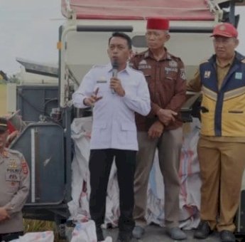 Bupati Sidrap Panen Raya dan Evaluasi Pertanaman di Panca Lautang