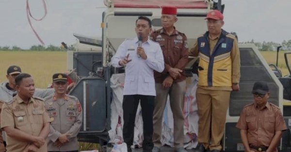Bupati Sidrap Panen Raya dan Evaluasi Pertanaman di Panca Lautang