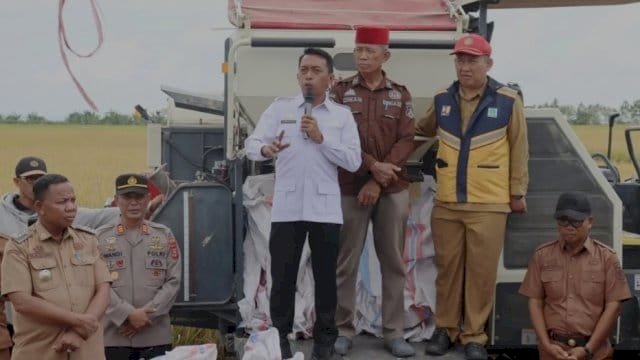 Bupati Sidrap, Syaharuddin Alrif menghadiri panen raya di Desa Alesalewoe, Kecamatan Panca Lautang.
