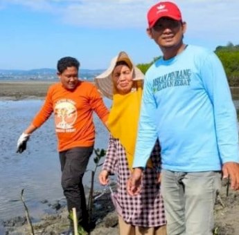 Mangrove untuk Pesisir Pinrang, Dari Perlindungan Alam hingga Ketahanan Pangan