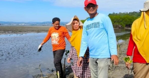 Mangrove untuk Pesisir Pinrang, Dari Perlindungan Alam hingga Ketahanan Pangan
