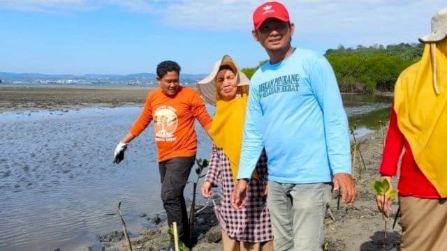Dinas Perikanan Pinrang menggelar penanaman bibit mangrove di pesisir Desa Wiringtasi, Kecamatan Suppa.
