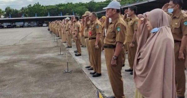 Tenaga Honorer Pemkab Maros Tersisa 90 Orang, Bupati Chaidir Syam Koordinasikan ke BKN