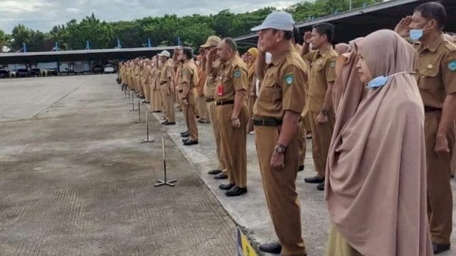 Tenaga Honorer Pemkab Maros Tersisa 90 Orang, Bupati Chaidir Syam Koordinasikan ke BKN