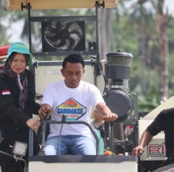 Bupati Sidrap dan Direktur Alsintan Panen Raya di Panca Lautang