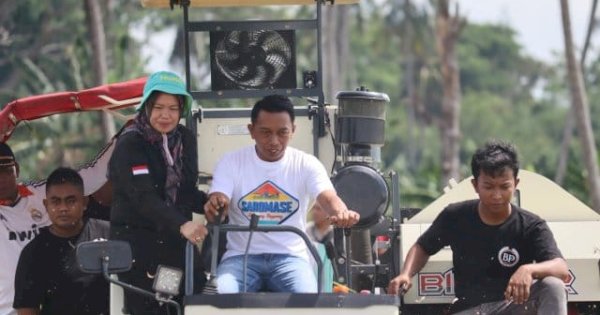 Bupati Sidrap dan Direktur Alsintan Panen Raya di Panca Lautang