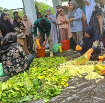 Pemkab Bone dan CIFOR-ICRAF Dorong Masyarakat Tanam Sayuran di Pekarangan