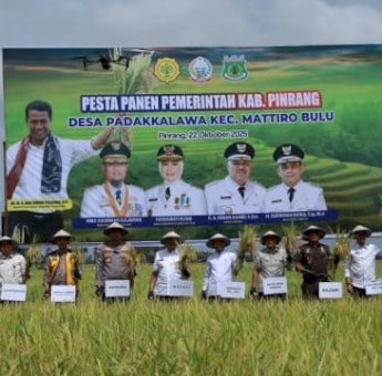 Pemkab Pinrang dan Pemprov Sulsel Sinergi Dukung Kedaulatan Pangan Lewat Pesta Panen Padi 2025