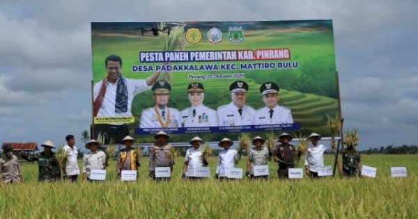 Pemkab Pinrang dan Pemprov Sulsel Sinergi Dukung Kedaulatan Pangan Lewat Pesta Panen Padi 2025