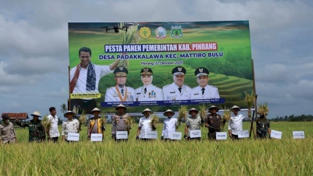 Pemkab Pinrang dan Pemprov Sulsel Sinergi Dukung Kedaulatan Pangan Lewat Pesta Panen Padi 2025