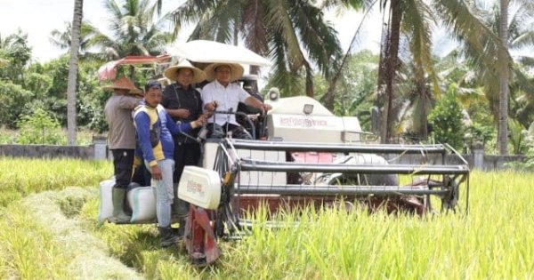 Bupati Ibas Dorong Kemajuan Pertanian Luwu Timur