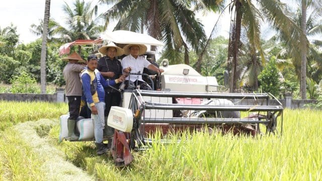 Bupati Ibas Dorong Kemajuan Pertanian Luwu Timur