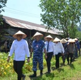 Wabup Maros Muetazim Hadiri Panen Kedelai di Bantimurung, Dorong Ketahanan Pangan Daerah